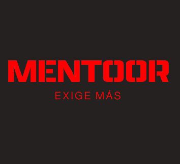 Profesor en Mentoor